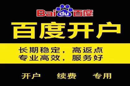 行业领先企业的sem代运营公司合作经验